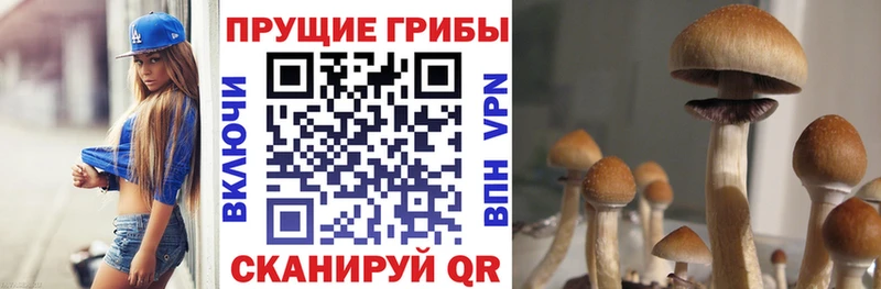 Псилоцибиновые грибы прущие грибы  сколько стоит  Славск 