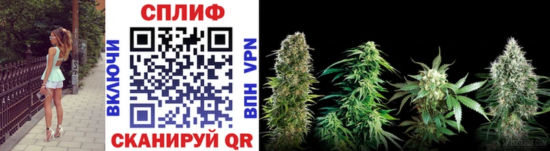 Канабис SATIVA & INDICA  мориарти официальный сайт  Славск 